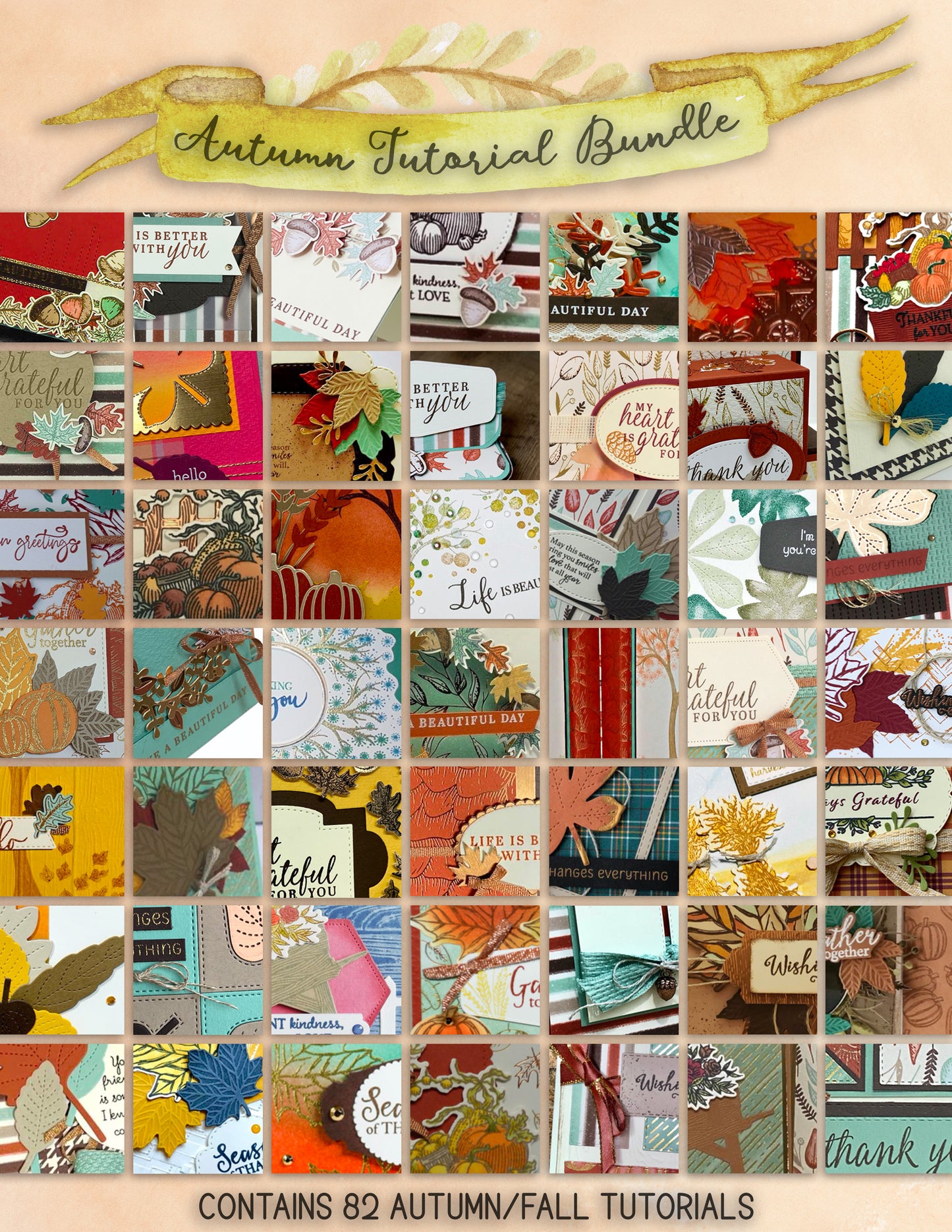 MEGA Tutorial BUNDLE