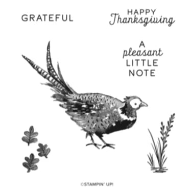 Painted Pheasant | Retired Cling Mount Stamp Set | Stampin' Up!