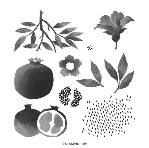 Perfect Pomegranate | Saleabration 2022 | Retired Photopolymer Stamp Set | Stampin' Up!