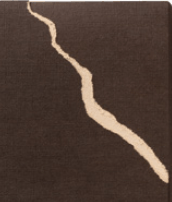 Early Espresso CoreDinations Cardstock | 12x12 | Retired | 12 Sheets - Full Packet | Stampin' Up!
