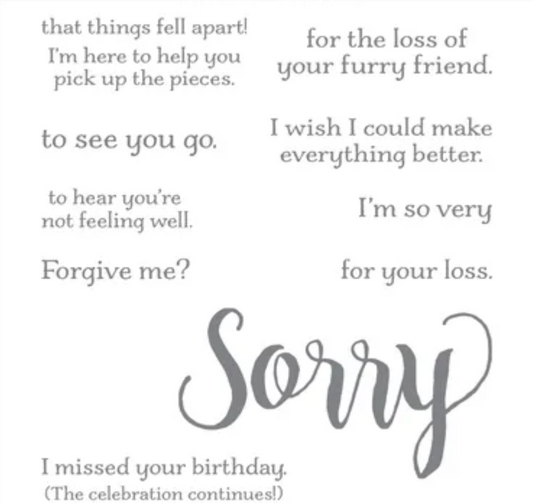 Sorry For Everything | Retired Clear Mount Stamp Set | Stampin' Up! | Brand New
