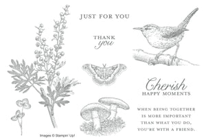 Etched in Nature | Retired Cling Mount Stamp Set | Stampin' Up!