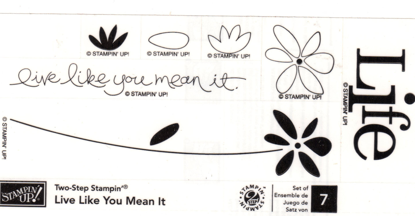 Live Like You Mean It | Clear Mount Stamp Set | Stampin' Up!