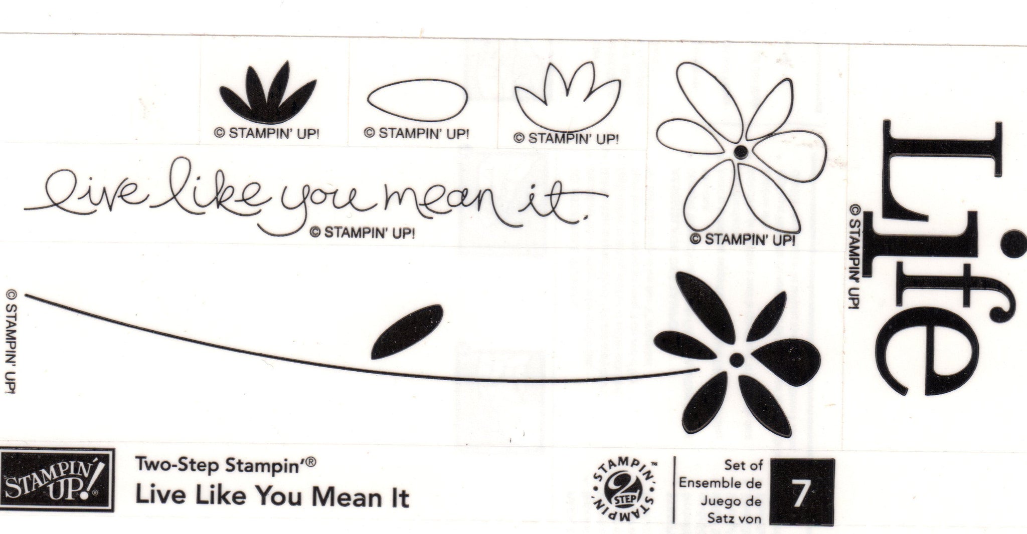 Live Like You Mean It | Clear Mount Stamp Set | Stampin' Up!