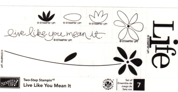 Live Like You Mean It | Clear Mount Stamp Set | Stampin' Up!