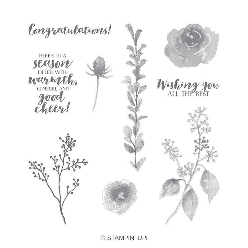 First Frost | Retired Clear Mount Stamp Set | Stampin' Up!