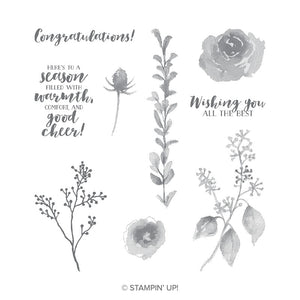First Frost | Retired Clear Mount Stamp Set | Stampin' Up!
