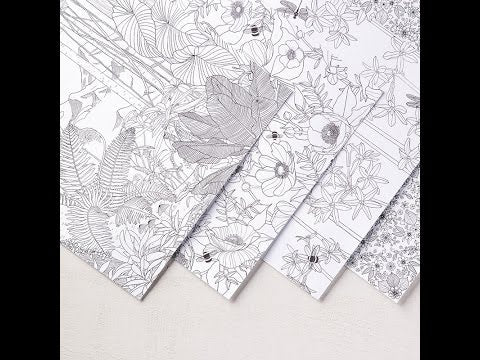 Inside the Lines | 6x12 Designer Series Paper | Retired | 12 sheets