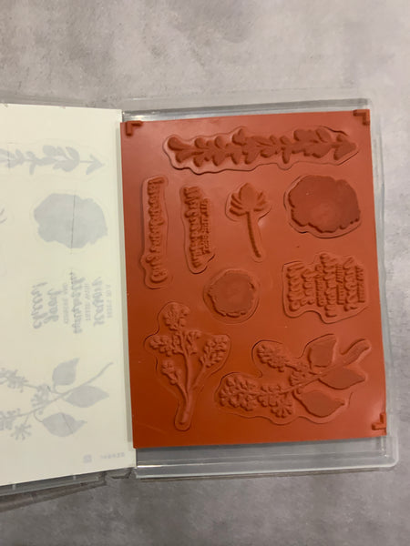 First Frost | Retired Clear Mount Stamp Set | Stampin' Up!