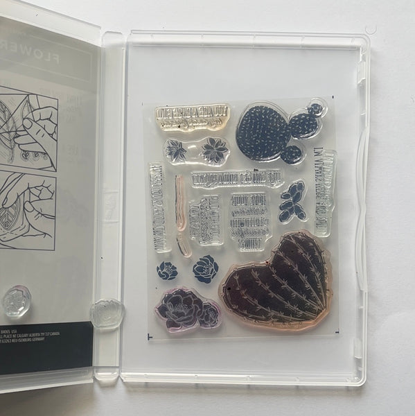 Flowering Cactus | Retired Photopolymer Stamp Set | Stampin' Up!