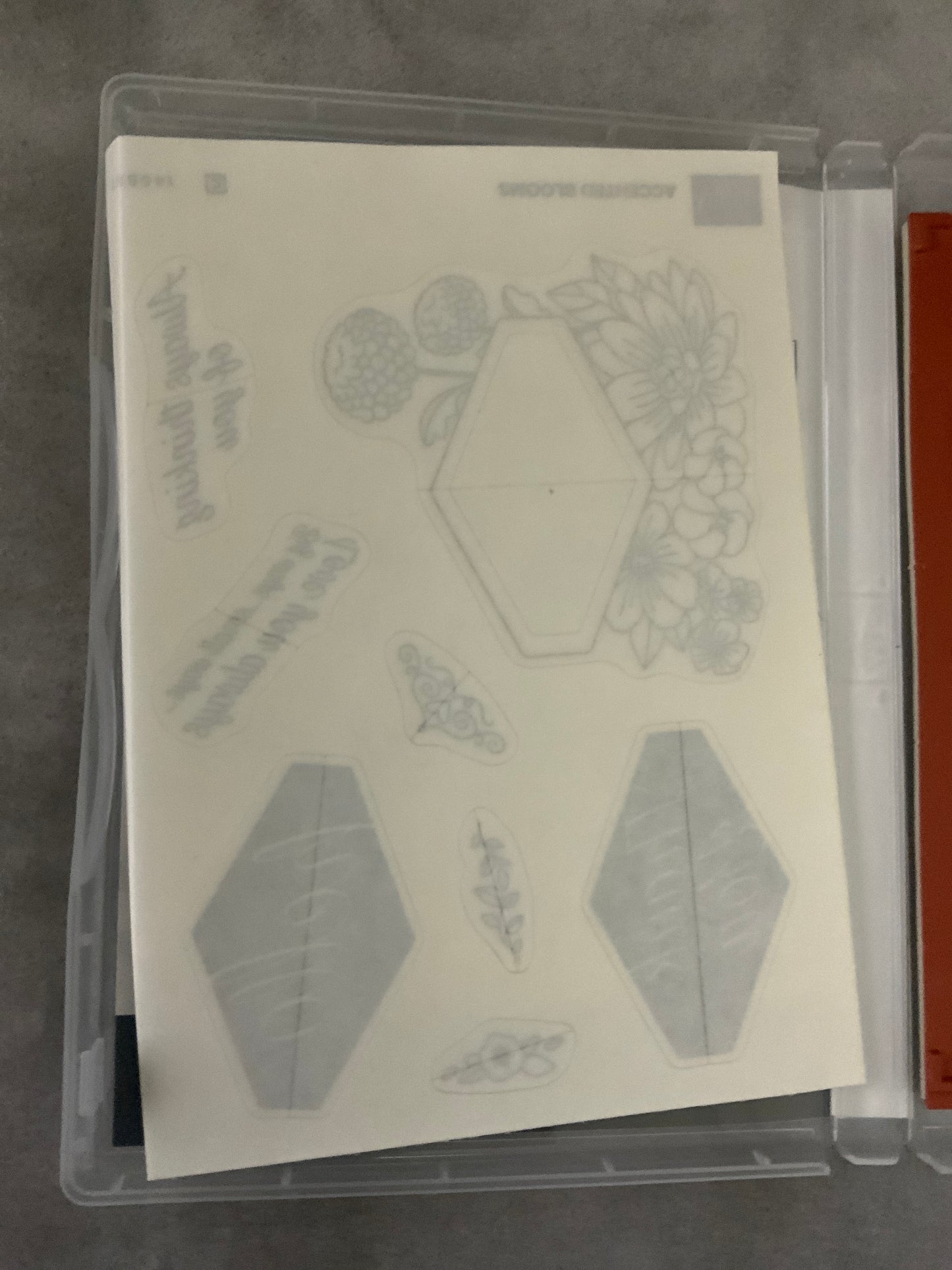 Accented Blooms | Retired Clear Mount Stamp Set | Stampin' Up!