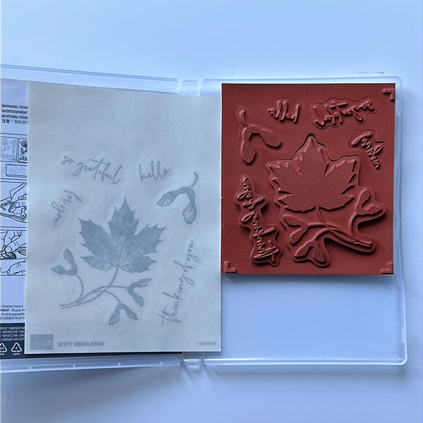 Soft Seedlings | Retired Cling Mount Stamp Set | Stampin' Up!