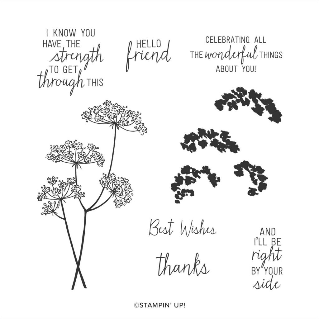 Queen Anne's Lace | Retired Photopolymer Stamp Set | Stampin' Up!