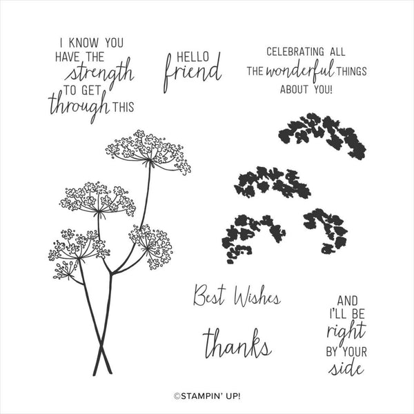 Queen Anne's Lace | Retired Photopolymer Stamp Set | Stampin' Up!