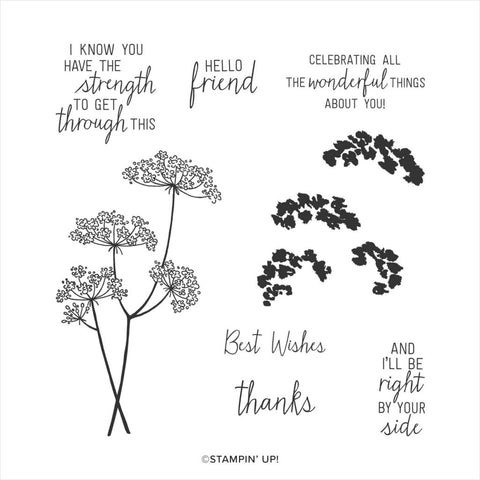 Queen Anne's Lace | Retired Photopolymer Stamp Set | Stampin' Up!